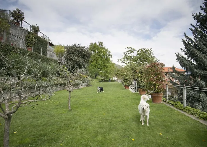 Paola's * 벨지라테