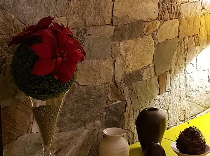 Paola's בלגירטה